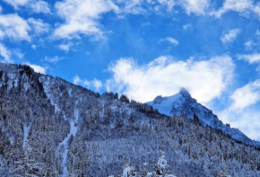 White Pearl Vue Mont Blanc